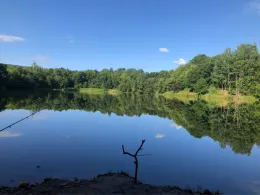 Kiesgruben Herrenhof-2