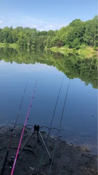 Kiesgruben Herrenhof-4