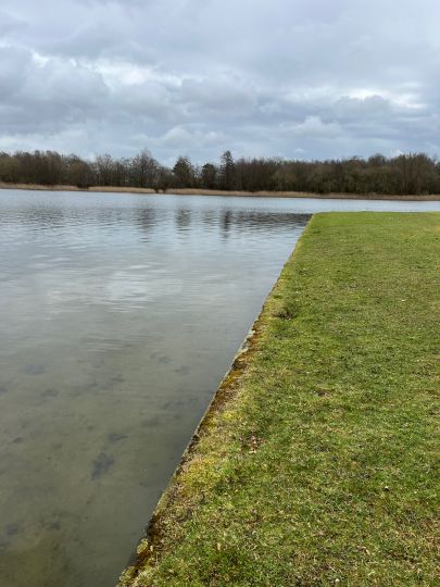 Het Rutbeek-2