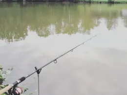 Mertsee (Eggenfelden)