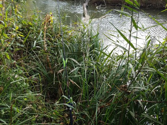 Feldhofer Altwasser-1