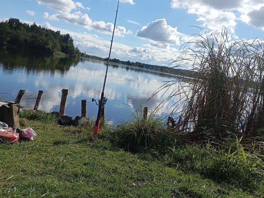 Torfkuhlen Stadtmoor (Bad Sülze)-2