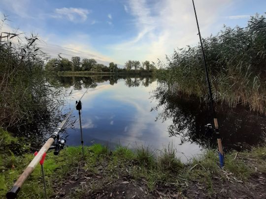 Kleiner Rußteich (Osternienburg)-4