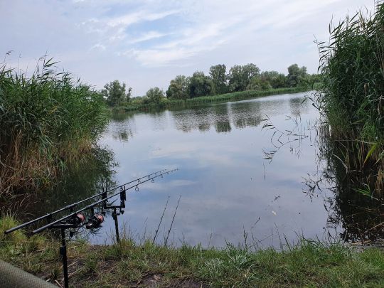 Kleiner Rußteich (Osternienburg)-3