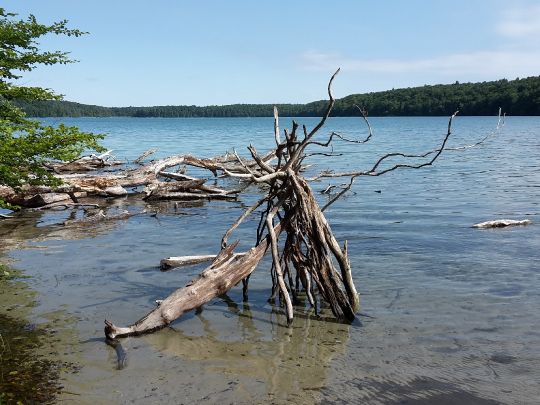 Großer Stechlinsee-1