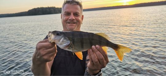 Großer Stechlinsee-4