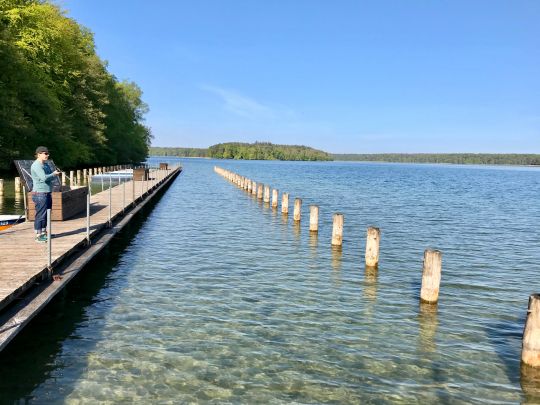 Großer Stechlinsee-3