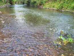 Kinzig (Biebergemünd)-4