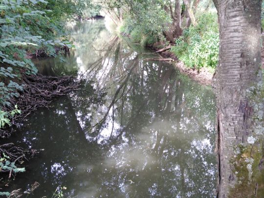 Kinzig (Biebergemünd)-1