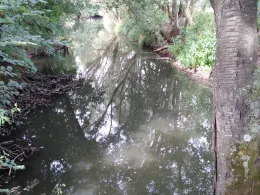 Kinzig (Biebergemünd)-1