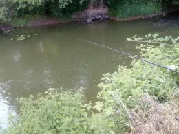 Kinzig (Biebergemünd)