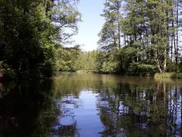 Südumfluter (Lübbenau)-4