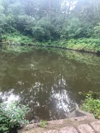 Regenrückhaltebecken Flensburg