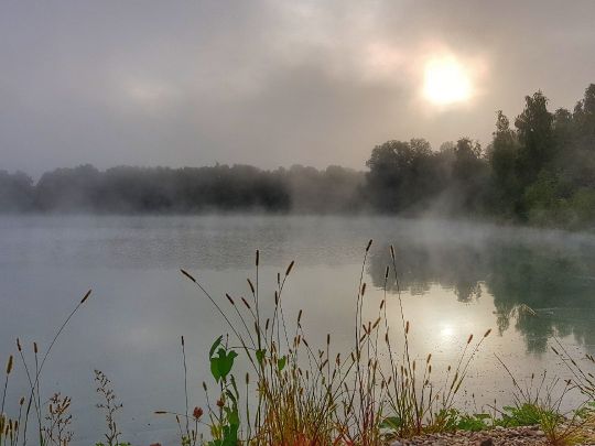 Moosangersee (Marzling)-2