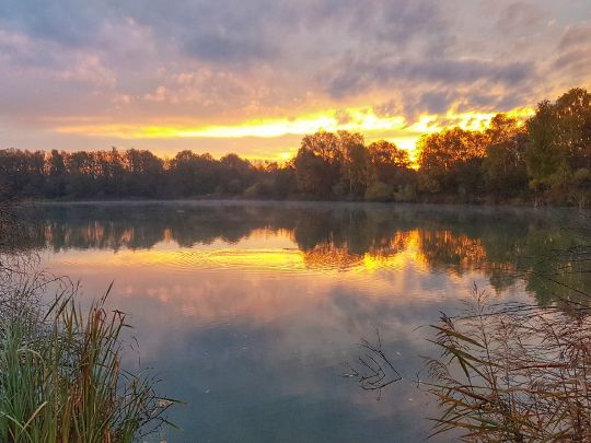 Moosangersee (Marzling)-4