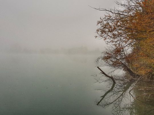 Moosangersee (Marzling)-3