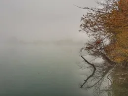 Moosangersee (Marzling)-3