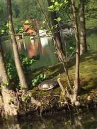 Blauer See (Lünne)-4