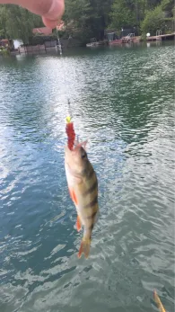 Blauer See (Lünne)-1