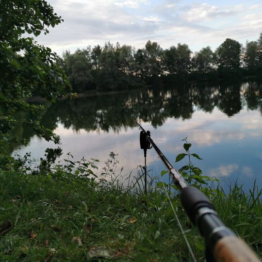 Südweiher (Balzhausen)
