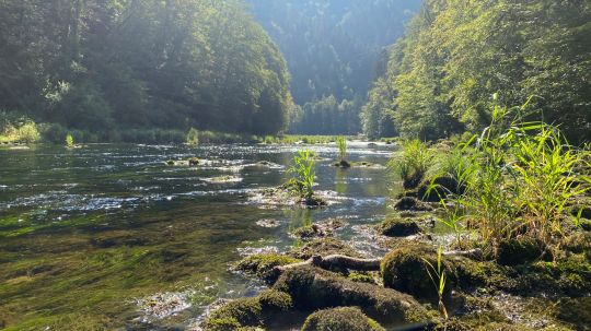 Doubs (Goumois)-1