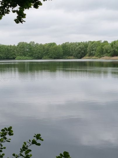 Panzerkute (Großbeuthen)