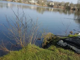 Erlenhofsee (Ransbach-Baumbach)