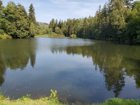 Neuer Teich (Zorge)