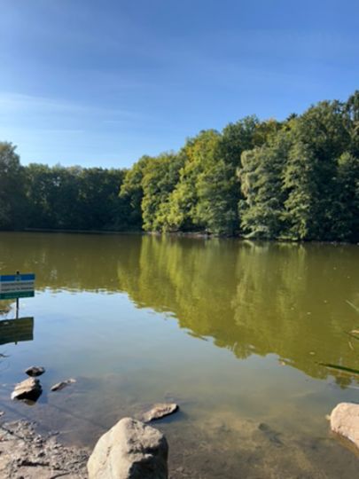 Allhorndiek (Volksdorf)-4