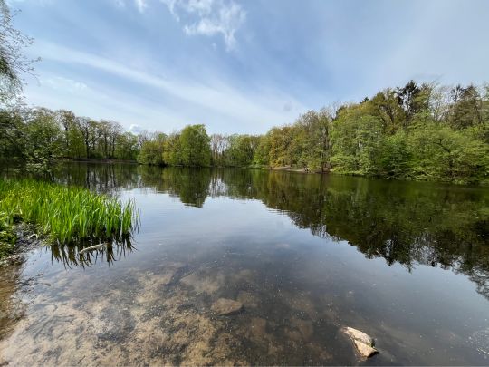 Allhorndiek (Volksdorf)-3