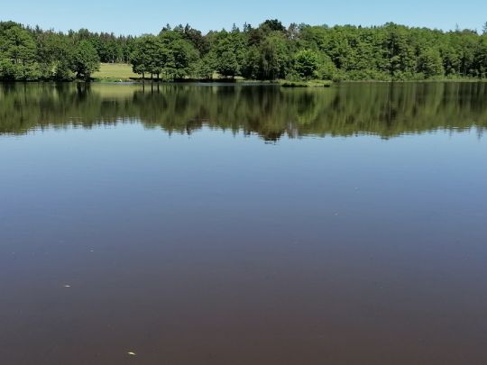 Pöllwitzer Badeteich-1