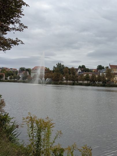 Großer Teich (Altenburg)-1