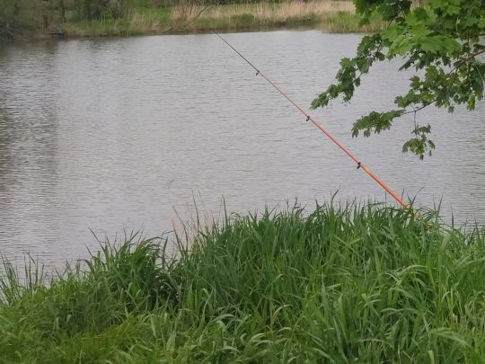 Tornower See (Bad Freienwalde)