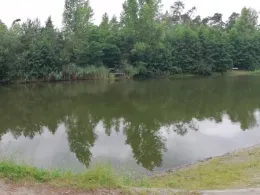 Kiesgrube Schernikau-3