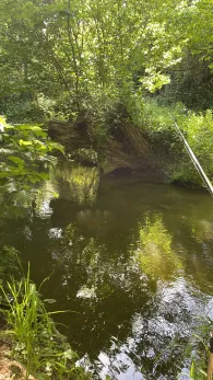 Mühlengraben (Bergheim)-1