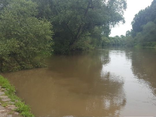 Mühlengraben (Bergheim)