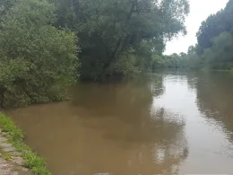 Mühlengraben (Bergheim)