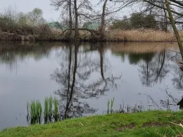 Krummer See (Bodemar)-4