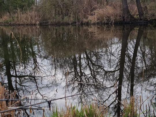 Krummer See (Bodemar)-2