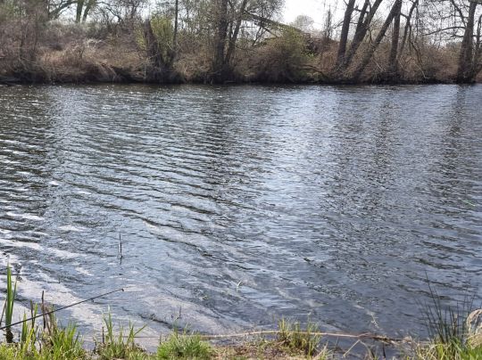 Krummer See (Bodemar)-3