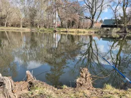 Heckenteich (Gatersleben)-3