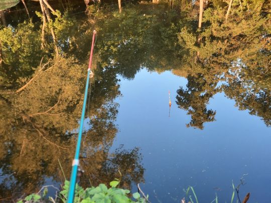Heckenteich (Gatersleben)-4
