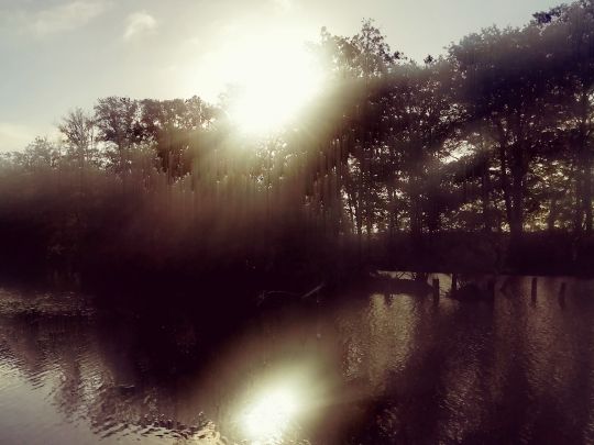 Teichanlage Saerbeck