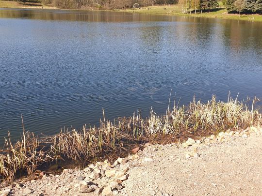 Angelteich Röhrsdorf-2