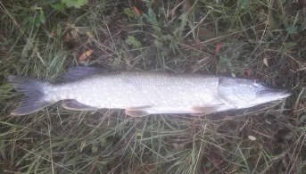 Ringkanal Schloß Schleißheim-1