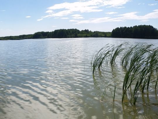 Töpchiner Obersee-4