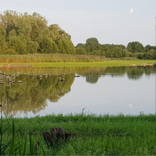 Stausee Sadenbeck-4
