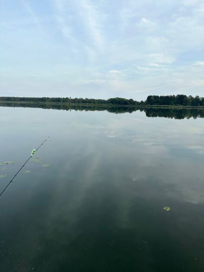 Dreetzer See