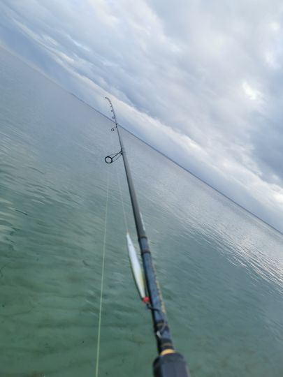 Ostsee (Pelzerhaken)