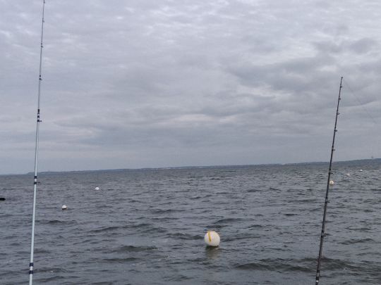 Ostsee (Pelzerhaken)-4